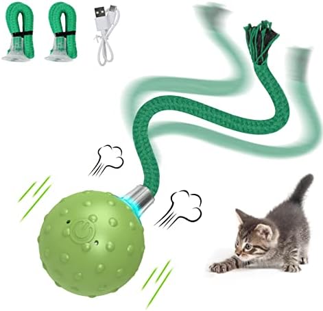 Entertaining Indoor Cat Toys: Bird Chirping, Motion-Activated Balls, and Fast Moves on Carpet